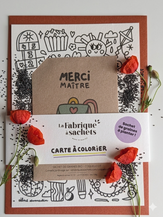 🌸 Offrez un cadeau qui a du sens (et qui pousse !) 🌸